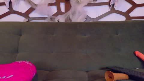 kloe_bella online show from 27, 10, 2025