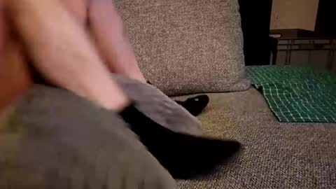 koelie1982 online show from 19, 12, 2024