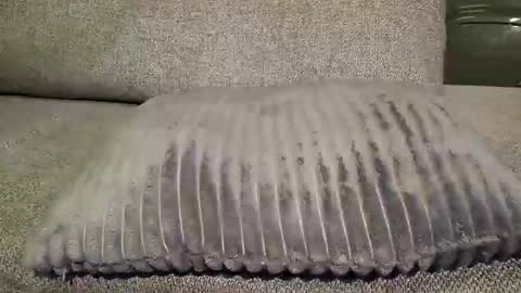 koelie1982 online show from 22, 1, 2025