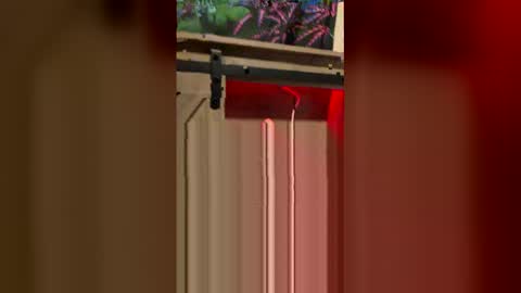 Snapshot of korysmith568 chatting on 20, 2, 2026 korysmith568 online show from 20, 2, 2026