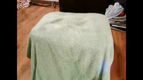 kotek400 online show from 30, 1, 2025