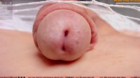 Petra online show from 4, 11, 2025