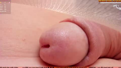 Petra online show from 14, 1, 2026