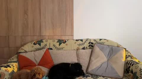 Kristy Nip slip shady  Best model on CB  online show from 26, 4, 2026