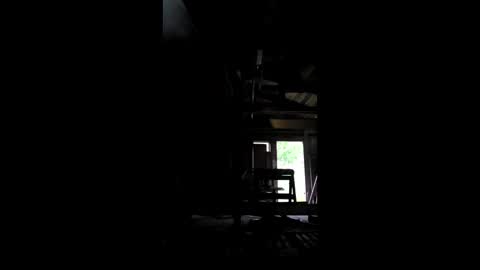 krizastonasdonatas online show from 3, 6, 2026