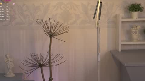 Ksesha online show from 6, 2, 2025