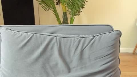 Kyle online show from 5, 11, 2025