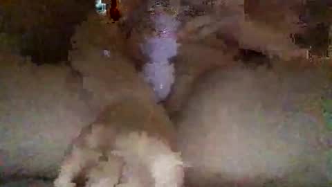 Snapshot of kylie69sm chatting on 27, 2, 2026 kylie online show from 27, 2, 2026