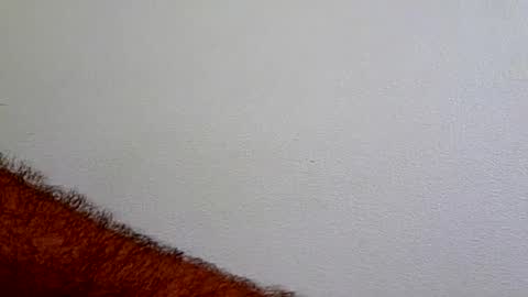 Snapshot of l0cean chatting on 22, 7, 2026 l0cean online show from 22, 7, 2026