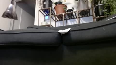 Rick online show from 23, 12, 2024