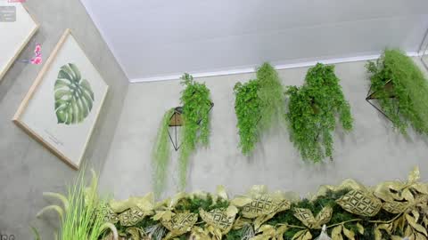 lana_lann online show from 20, 12, 2024