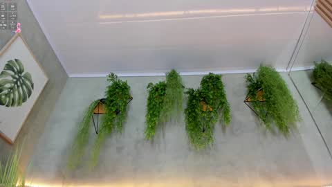 lana_lann online show from 9, 1, 2025