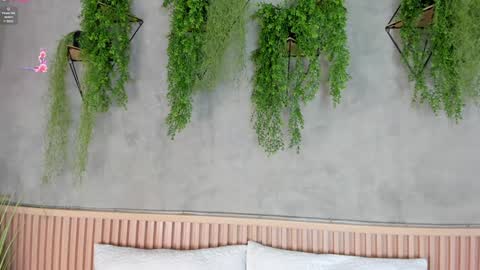 lana_lann online show from 27, 1, 2025