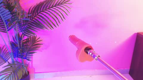 LANA online show from 20, 5, 2026