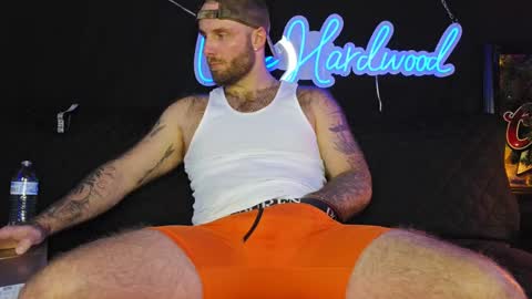 LANCE online show from 8, 12, 2024