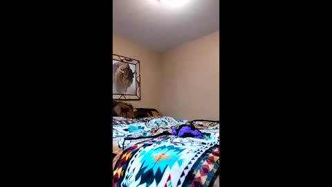 Snapshot of langederek2 chatting on 26, 3, 2026 langederek2 online show from 26, 3, 2026