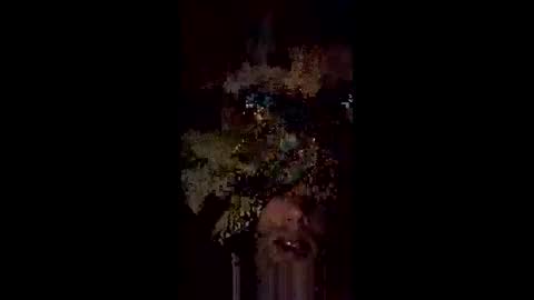 Snapshot of langederek2 chatting on 18, 5, 2026 langederek2 online show from 18, 5, 2026