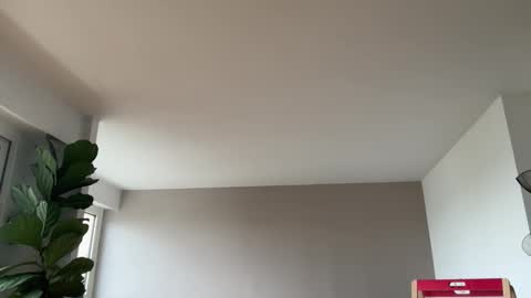 Lanimal online show from 3, 10, 2025