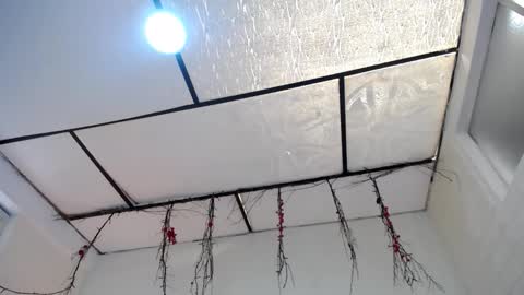 LAURA online show from 23, 3, 2026