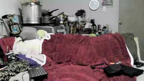 lauradecuada2 online show from 8, 2, 2026