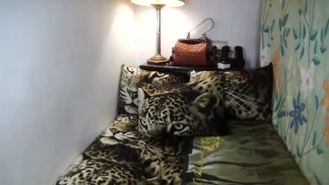 Snapshot of laureen_gavh chatting on 2, 2, 2025 Belle online show from 2, 2, 2025