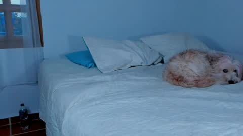 Lucie  online show from 15, 2, 2025