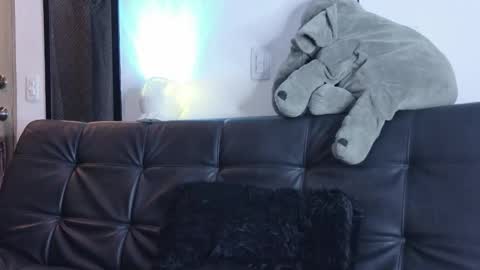    online show from 14, 3, 2026