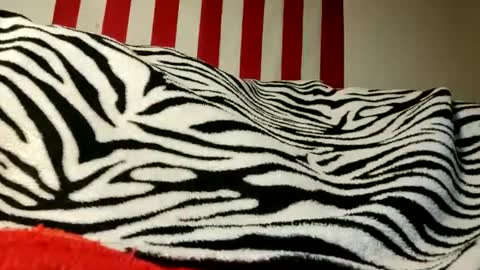 Snapshot of lawerenceingram46 chatting on 17, 9, 2025 lawerenceingram46 online show from 17, 9, 2025