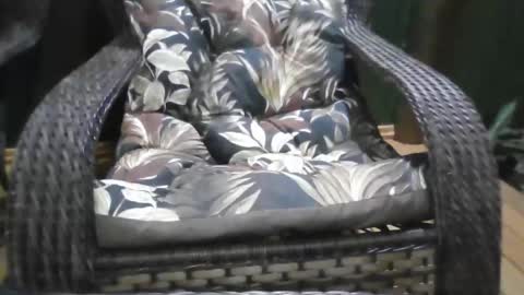 kelly online show from 21, 12, 2025