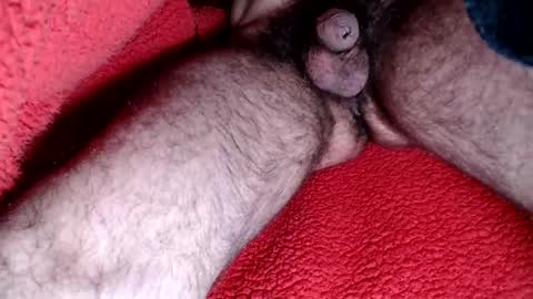 leccameloadesso2 online show from 15, 2, 2025