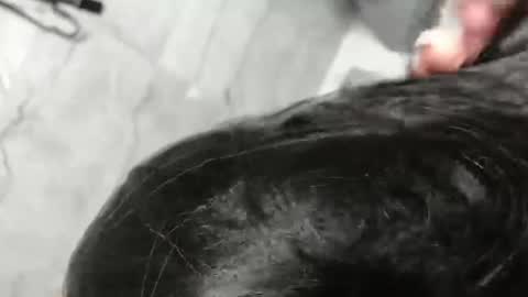 Snapshot of ledi_marin chatting on 23, 3, 2026 Marina Magician online show from 23, 3, 2026