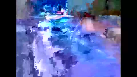 Snapshot of leemen33 chatting on 4, 12, 2025 Michael online show from 4, 12, 2025