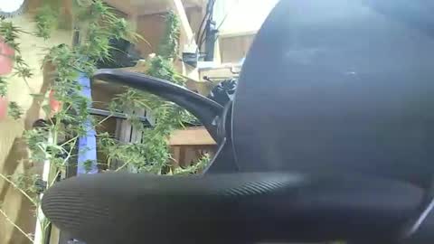 Snapshot of lenghtygirth chatting on 9, 9, 2025 HoleStretcher online show from 9, 9, 2025