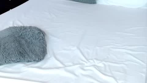 LUCY online show from 19, 2, 2025