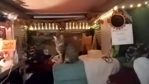 Snapshot of lesleygumgrass chatting on 18, 12, 2025 LesleyGumGrass- The Boring Trans girl online show from 18, 12, 2025