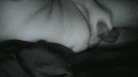 Rayne online show from 25, 12, 2024