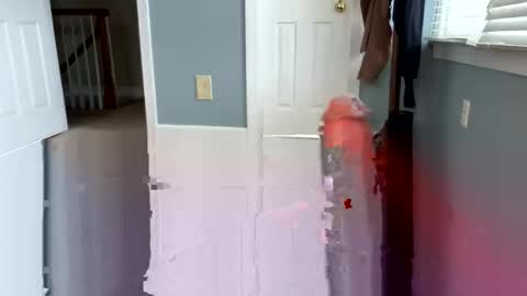 letmecumforyou71 online show from 4, 3, 2026