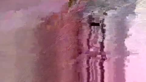 Snapshot of letslookateach chatting on 26, 2, 2026 letslookateach online show from 26, 2, 2026