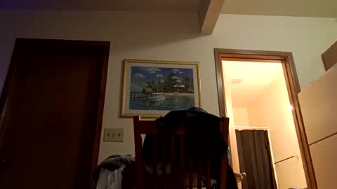 Snapshot of letsplay361 chatting on 2, 3, 2025 letsplay361 online show from 2, 3, 2025