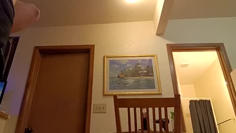 Snapshot of letsplay361 chatting on 8, 3, 2025 letsplay361 online show from 8, 3, 2025