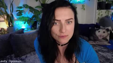 Levity online show from 11, 11, 2025