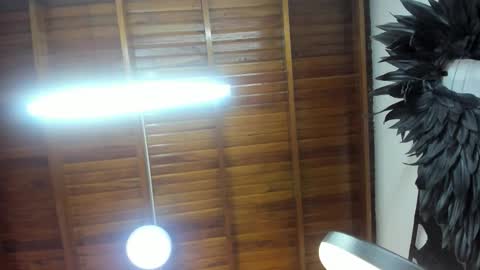 LevySteven online show from 7, 11, 2025