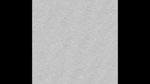 lewenzi online show from 1, 12, 2024