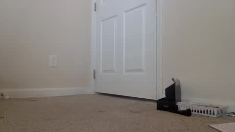 Alexia L. online show from 6, 2, 2026