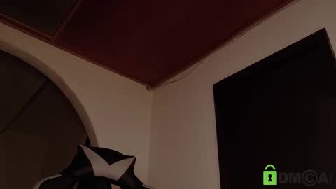 Snapshot of lia__summer chatting on 13, 1, 2026 lia__summer online show from 13, 1, 2026