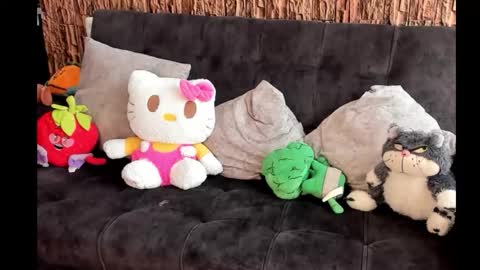 lia_rip01 online show from 17, 10, 2025