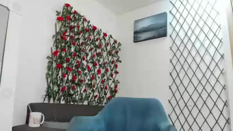 Snapshot of liambrown09 chatting on 13, 7, 2026 Liam online show from 13, 7, 2026