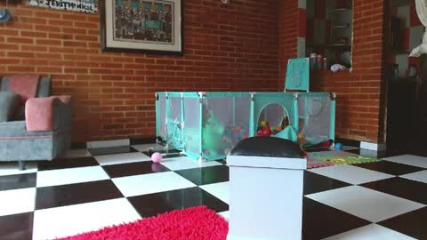 Liarouse04 online show from 11, 4, 2026