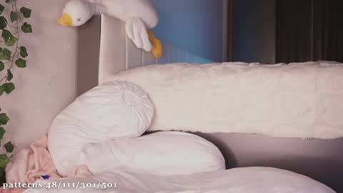 Molly  you can find Bunny here --  online show from 12, 2, 2025