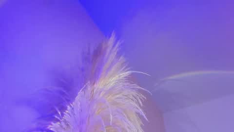 Liiam Luna online show from 8, 10, 2025